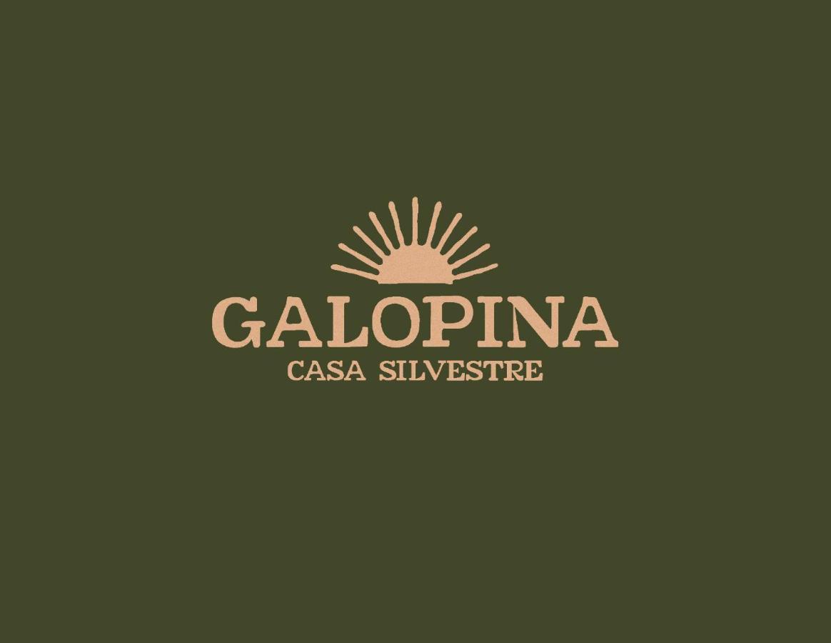 Galopina Acomodação com café da manhã Seye Exterior foto